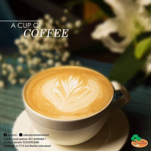 Cafe Aylanto Location