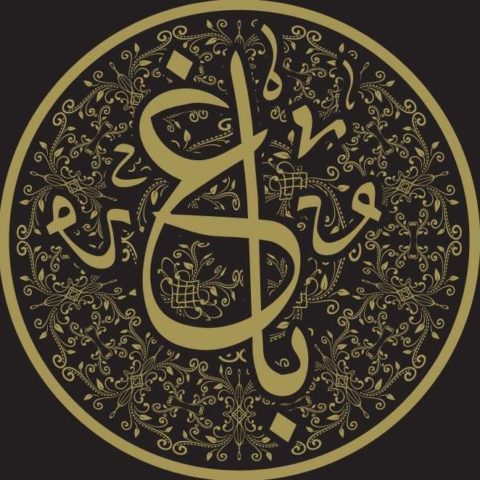 Bagh - The Desi Experience