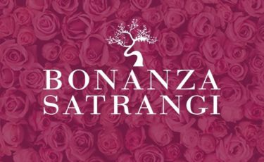 Bonanza Satrangi