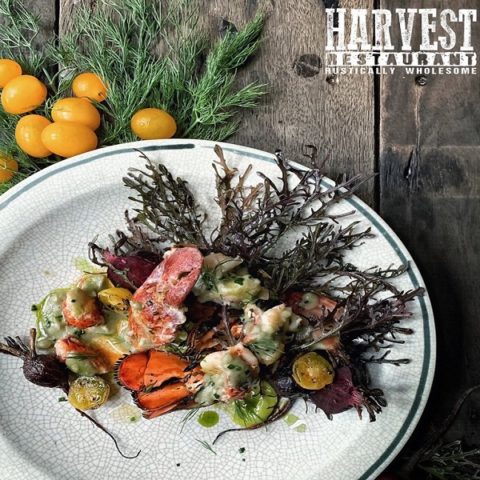 Harvest restaurant Contact Number