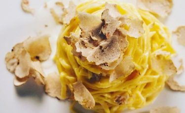 D'alma Contact Number