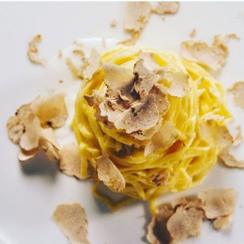 D'alma Contact Number