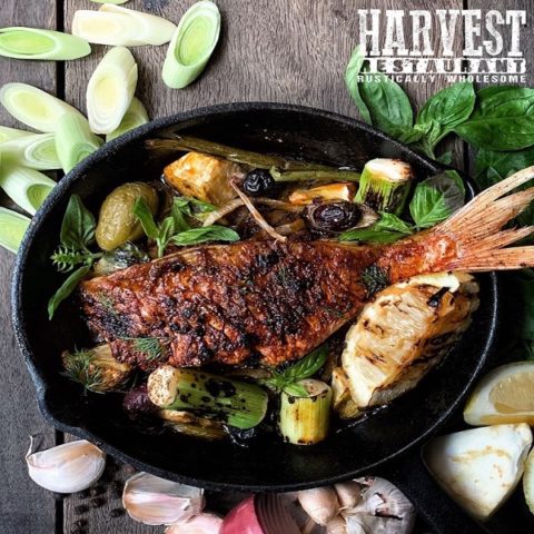 Harvest restaurant Location