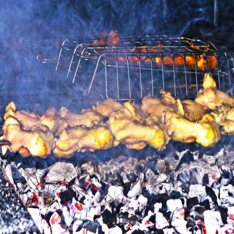 Yogi Haus Contact Number