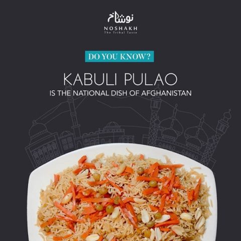 Noshakh contact number