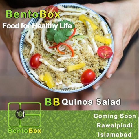 Bento Box Contact Number