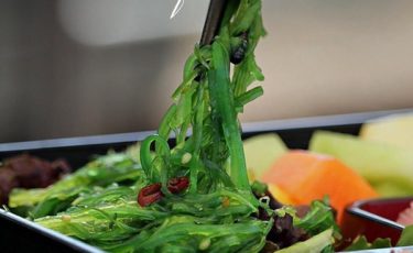 Gai’a Contact Number